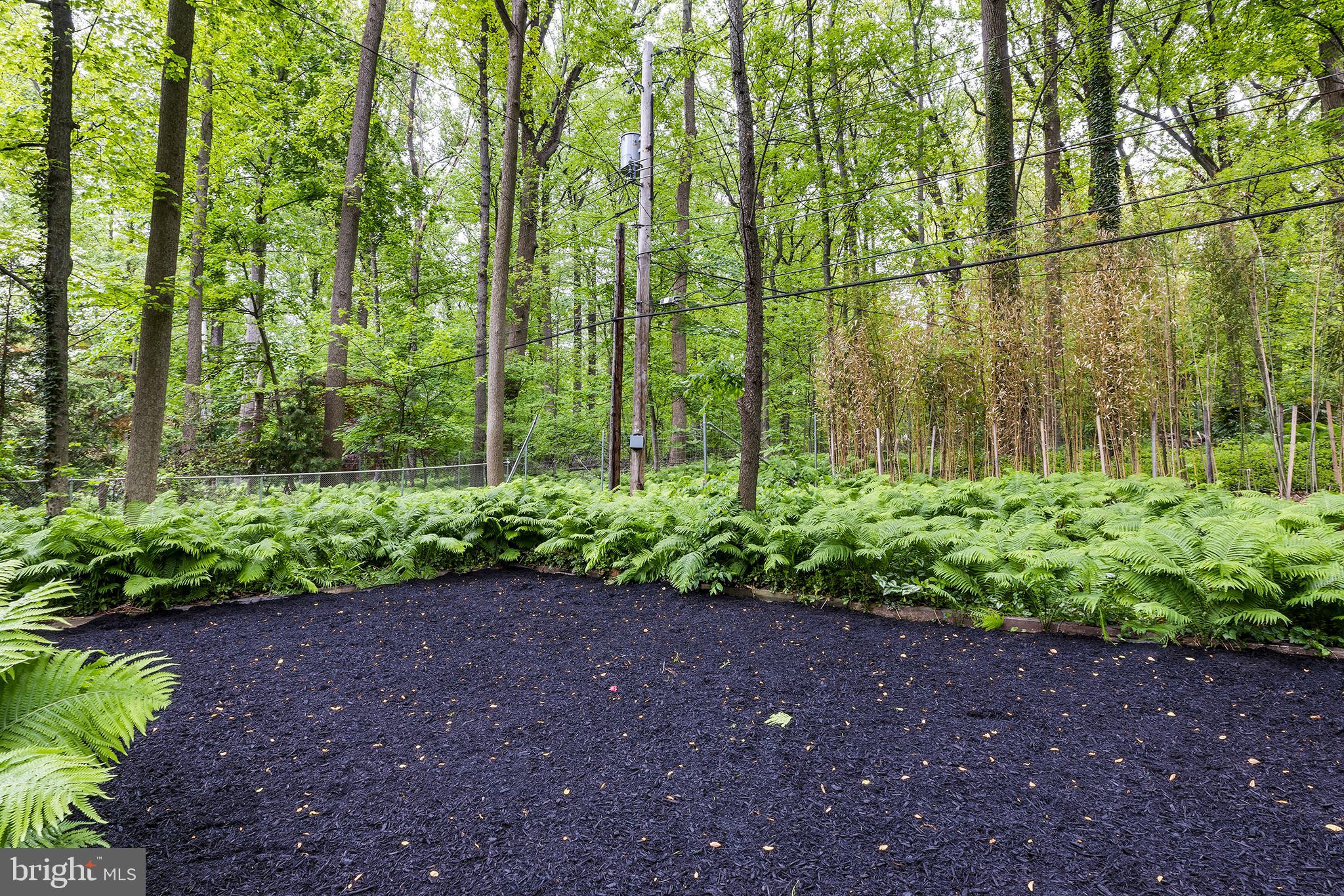 300 Woods Road Glenside, PA 19038 - Photo 41 of 47