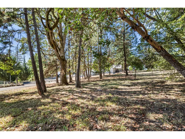 $575,000 | 305 School Avenue, Brownsville, OR 97327