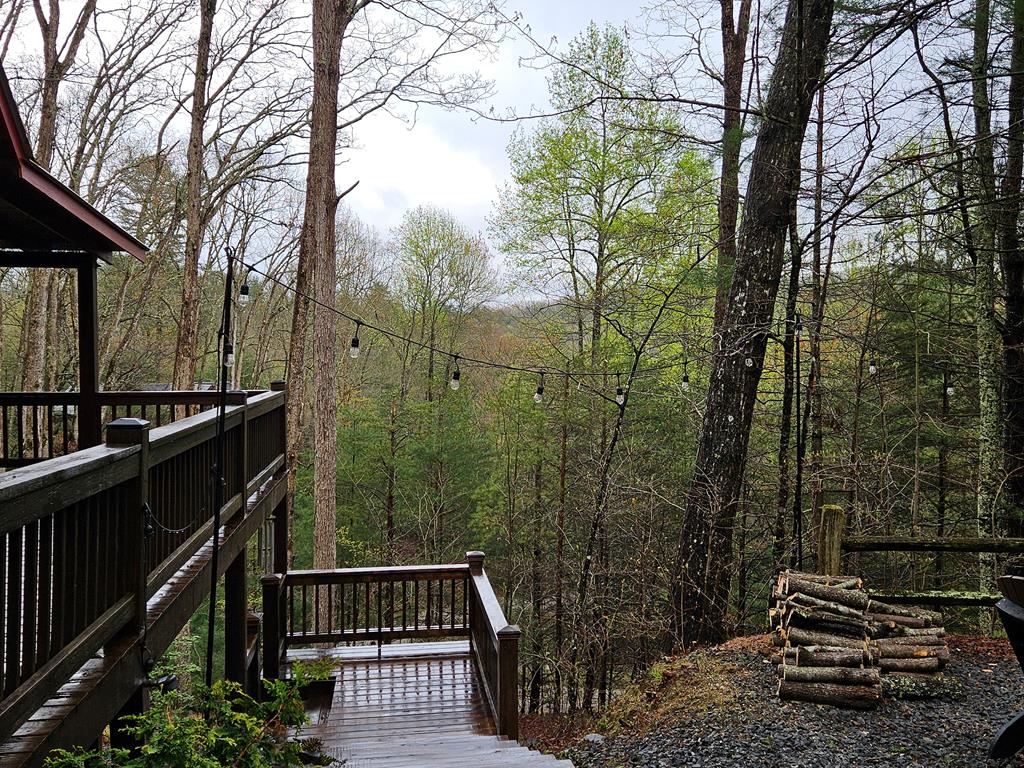282 Papa Bear Path Cherry Log, GA 30522 - Photo 33 of 43