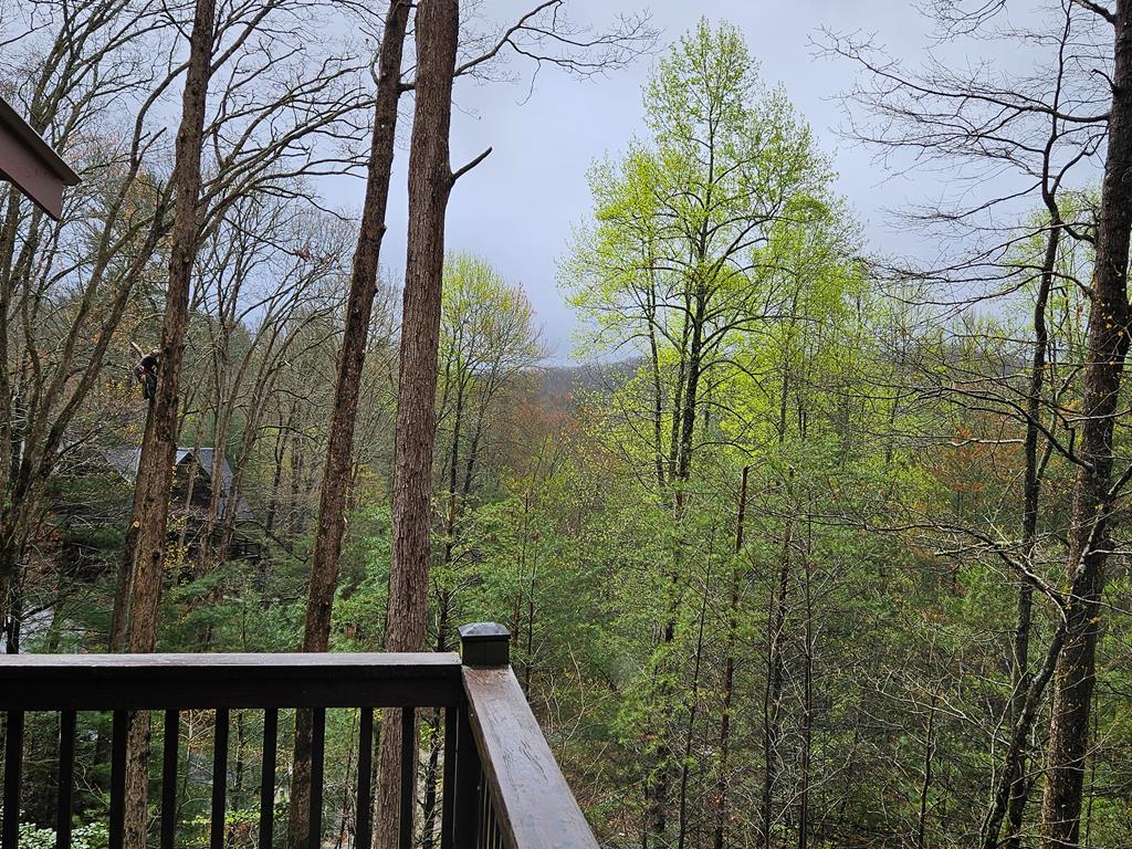 282 Papa Bear Path Cherry Log, GA 30522 - Photo 34 of 43