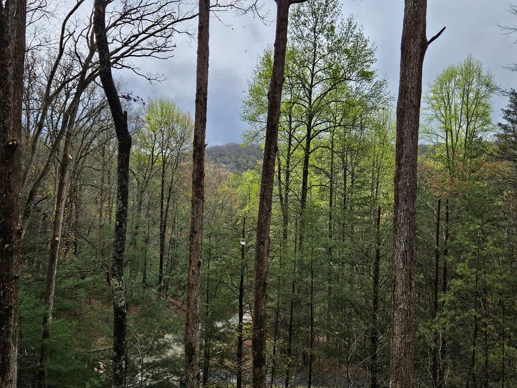282 Papa Bear Path Cherry Log, GA 30522 - Photo 35 of 43