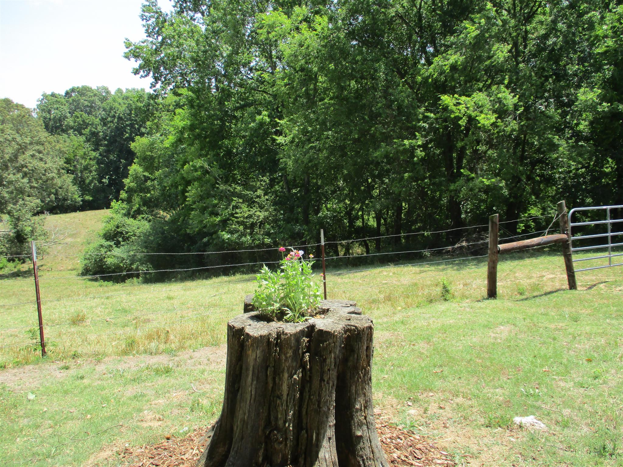 26 Westside Road Lawrenceburg, TN 38464 - Photo 24 of 24 Gallery Image 24