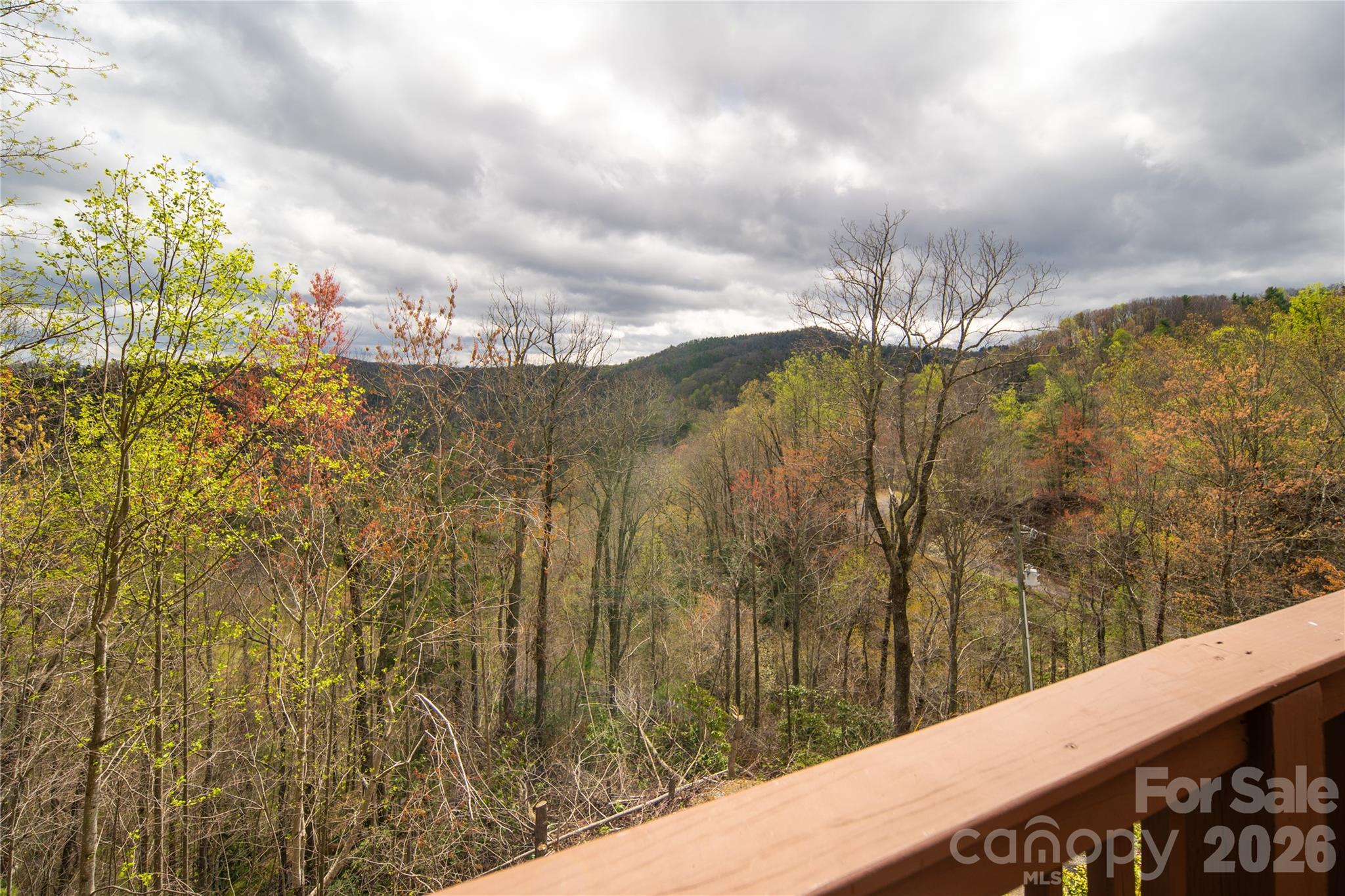 6006 Waterfalls Road Lenoir, NC 28645 - Photo 31 of 42