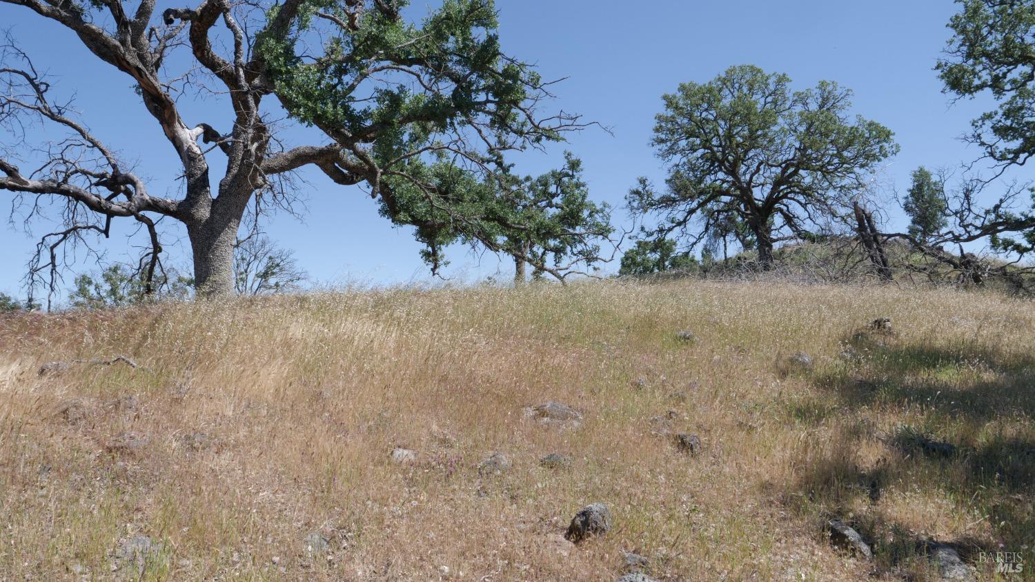 0 Pope Canyon Road Pope Valley, CA 94567 - Photo 15 of 38