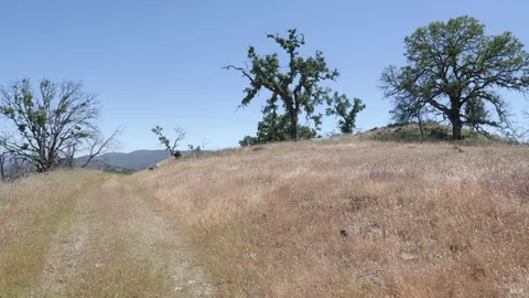 a view of a dry yard with trees