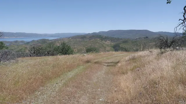 a view of a field with a tree in the background