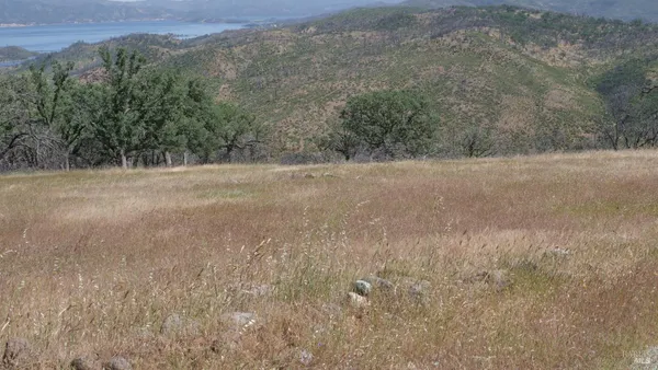 a view of a dry field with trees in background