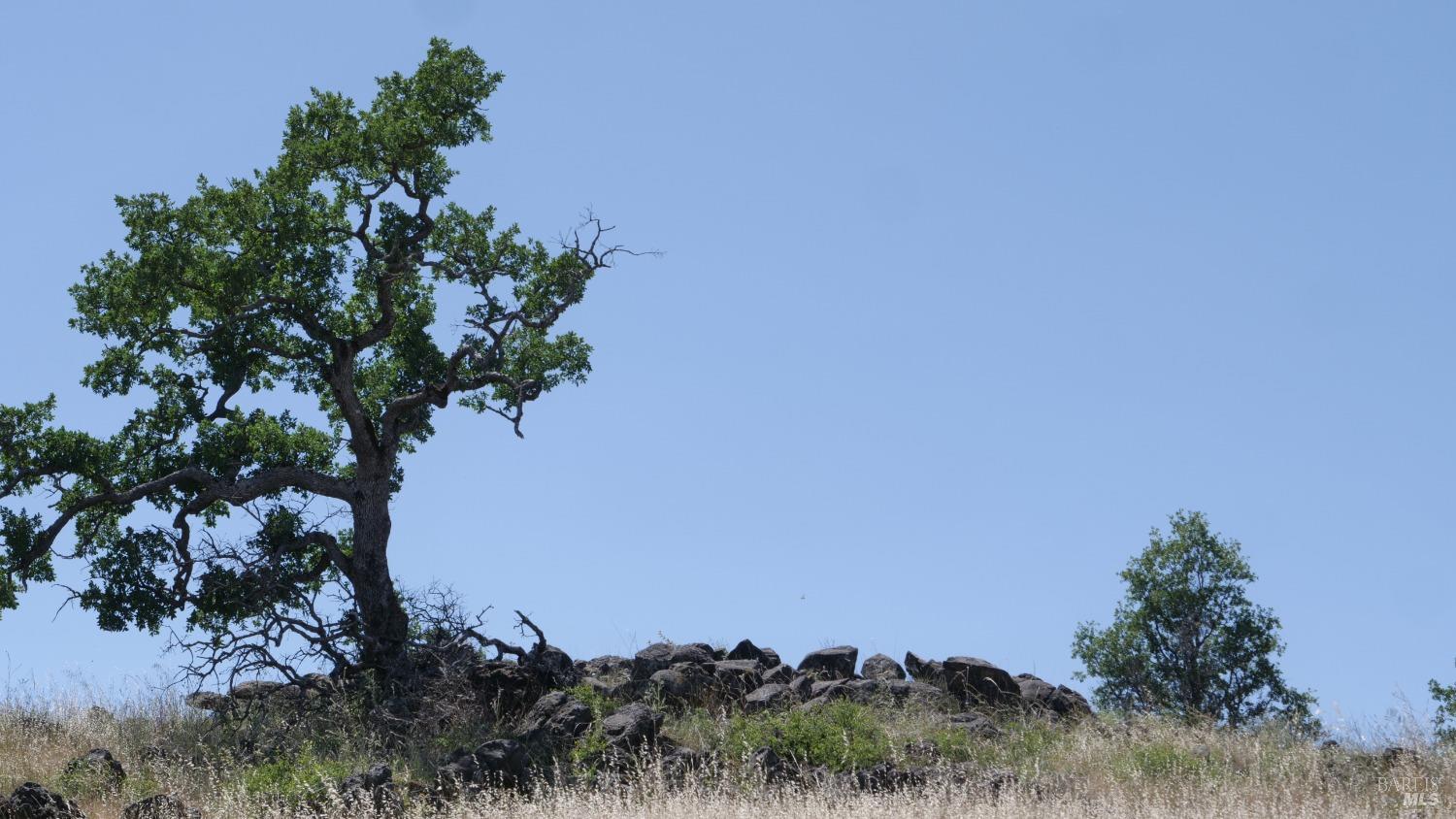 0 Pope Canyon Road Pope Valley, CA 94567 - Photo 29 of 38