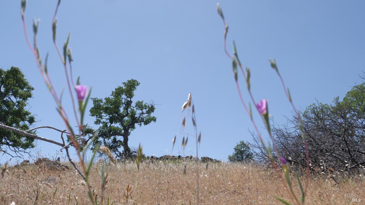 0 Pope Canyon Road Pope Valley, CA 94567 - Photo 30 of 38