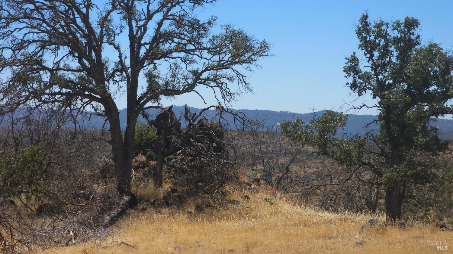 0 Pope Canyon Road Pope Valley, CA 94567 - Photo 33 of 38