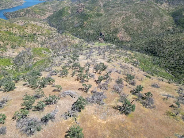 a view of a yard with a tree