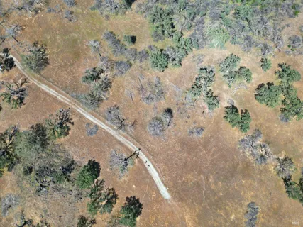 a view of a dry yard with trees