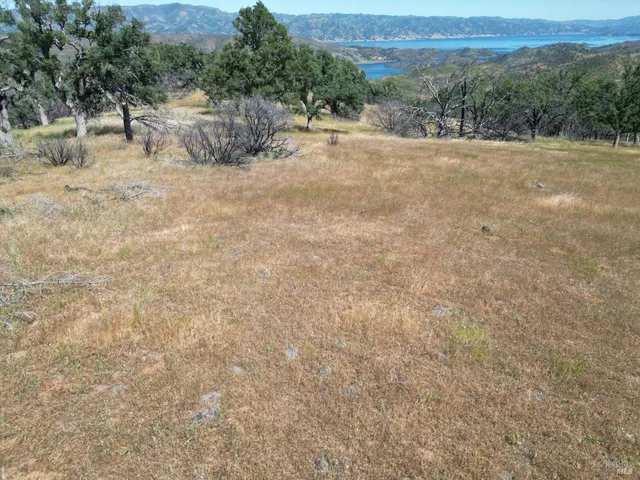a view of a dry field with mountains in the background
