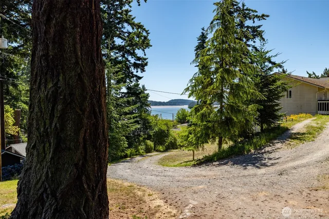 a view of a backyard with large trees