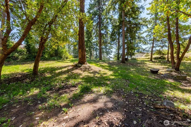 a view of backyard with green space