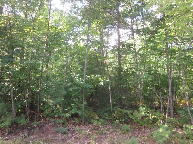 On Birch Point Road, Unit LOT 4 Conover, WI 54519 - Photo 4 of 5 Gallery Image 4