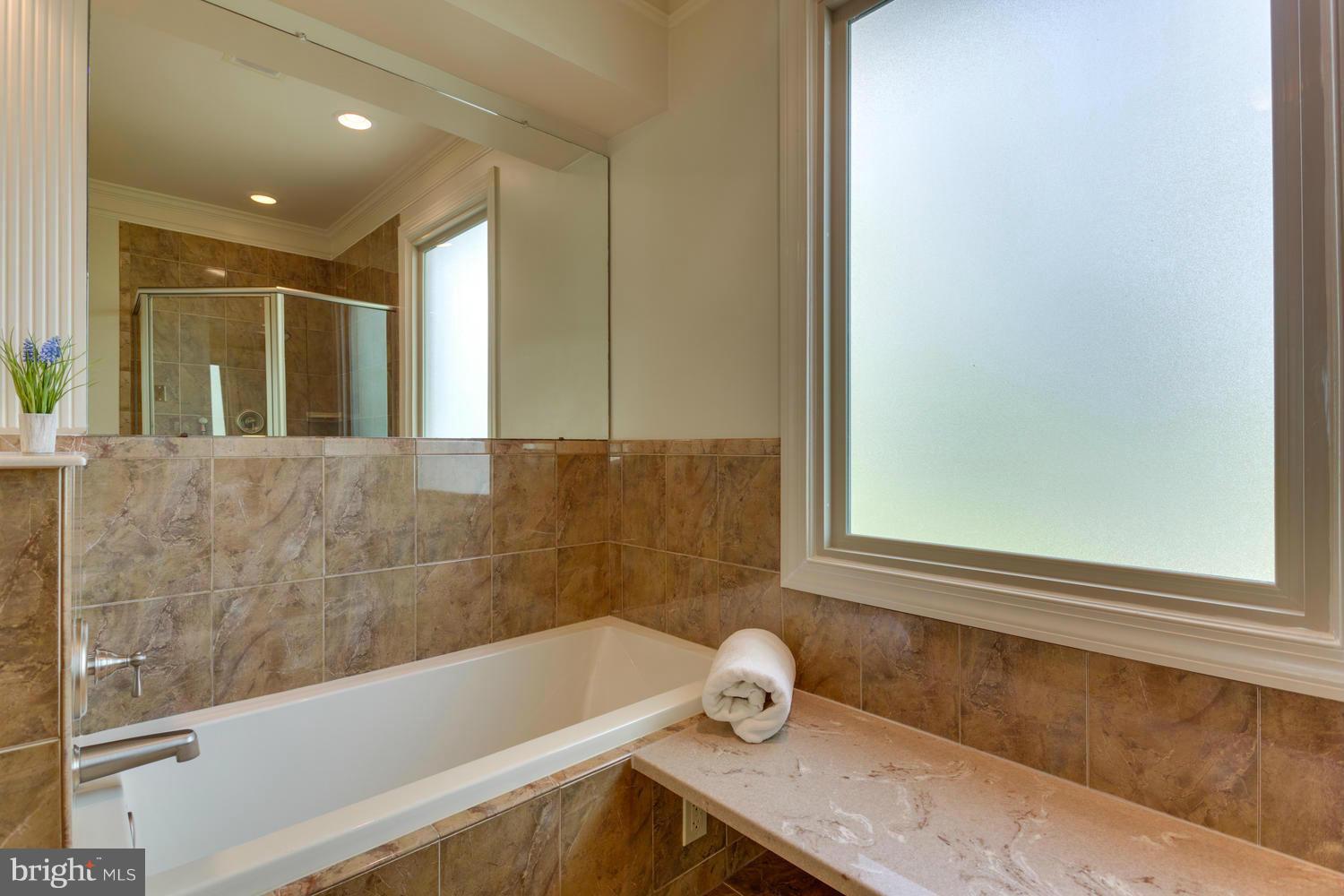 1172 Randolph Road McLean, VA 22101 - Photo 22 of 30 Bath (Master)