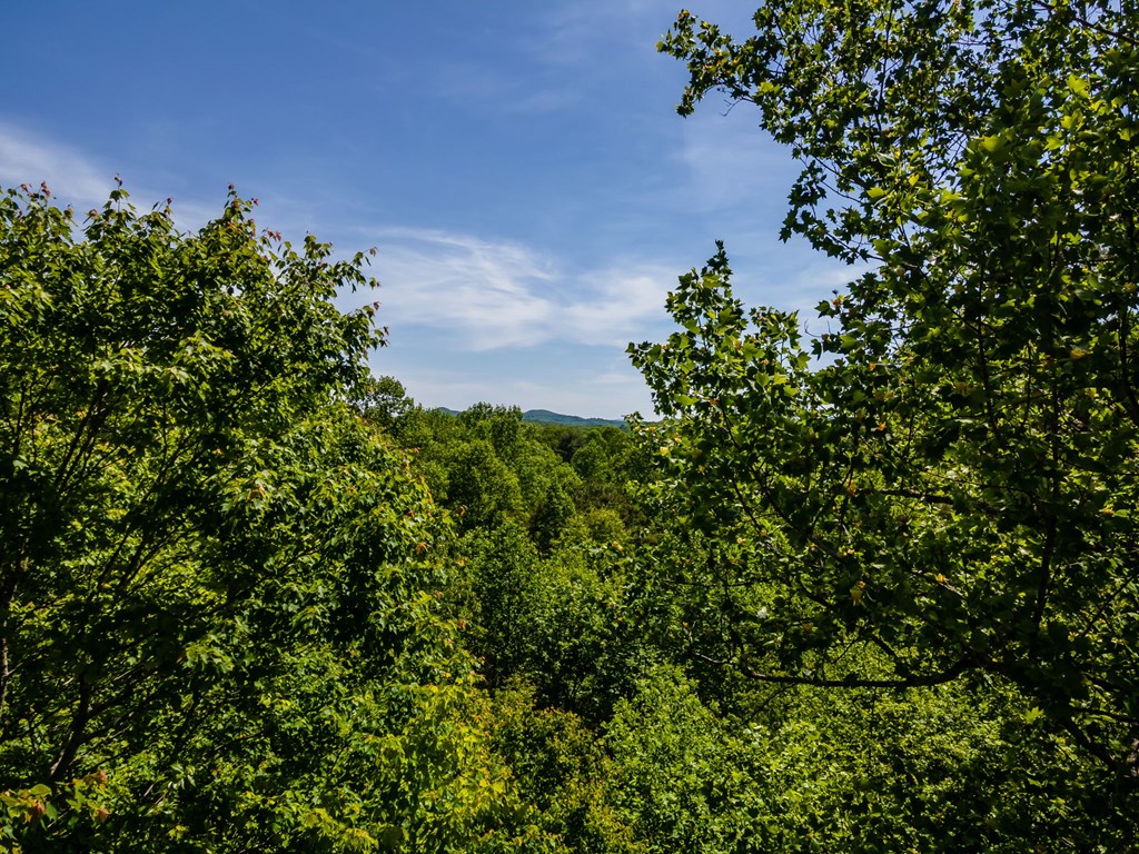 547 Echo Road Morganton, GA 30560 - Photo 5 of 54