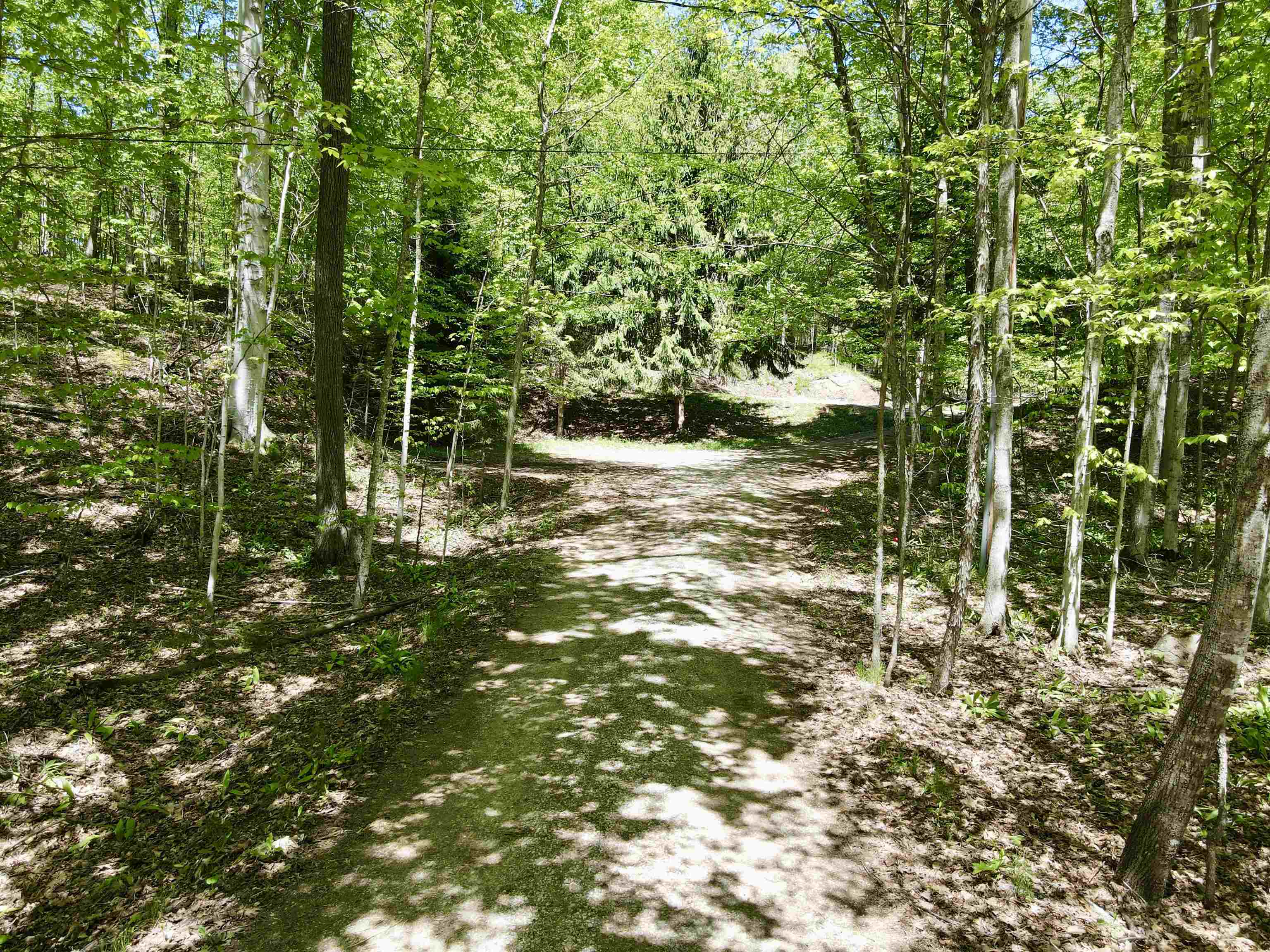 1801 East Old Mountain Road Cedar, MI 49621 - Photo 12 of 23