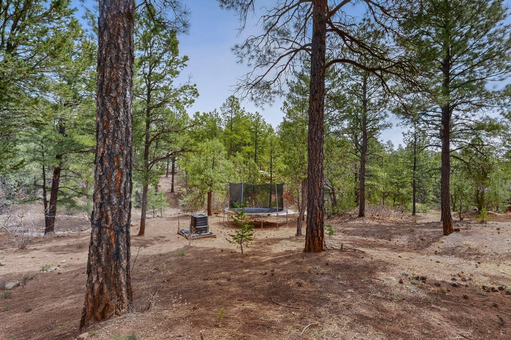 88 Pinon Ridge Road Pecos, NM 87552 - Photo 31 of 37