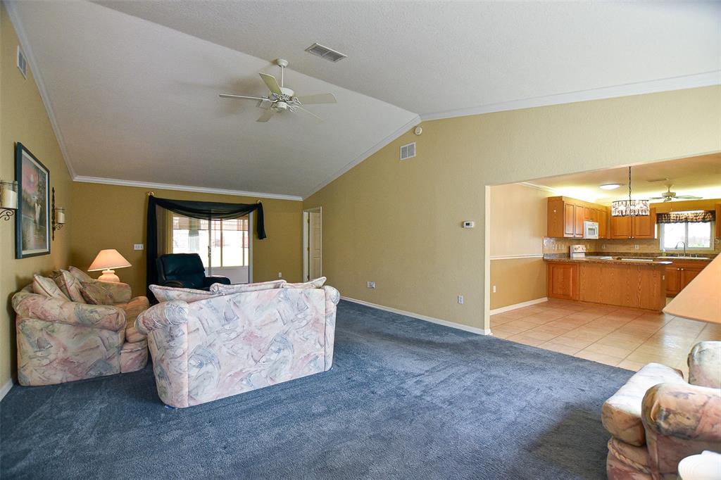 9033 Southeast 135th Loop Summerfield, FL 34491 - Photo 23 of 83