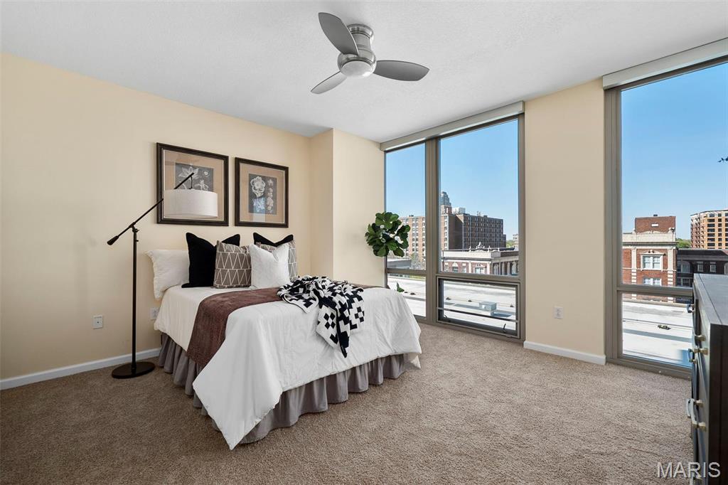 4909 Laclede Avenue, Unit 805 St. Louis, MO 63108 - Photo 14 of 29