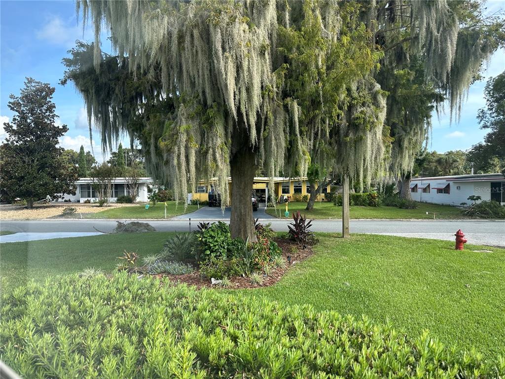 2409 Vindale Road Tavares, FL 32778 - Photo 30 of 49