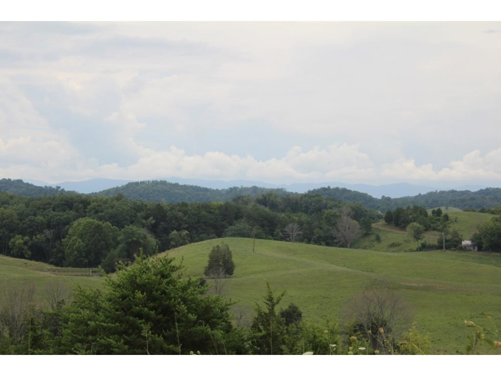940 Little Chuckey Road Midway, TN 37809 - Photo 1 of 19 Photo 1