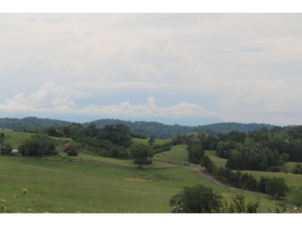 940 Little Chuckey Road Midway, TN 37809 - Photo 3 of 19 Photo 3
