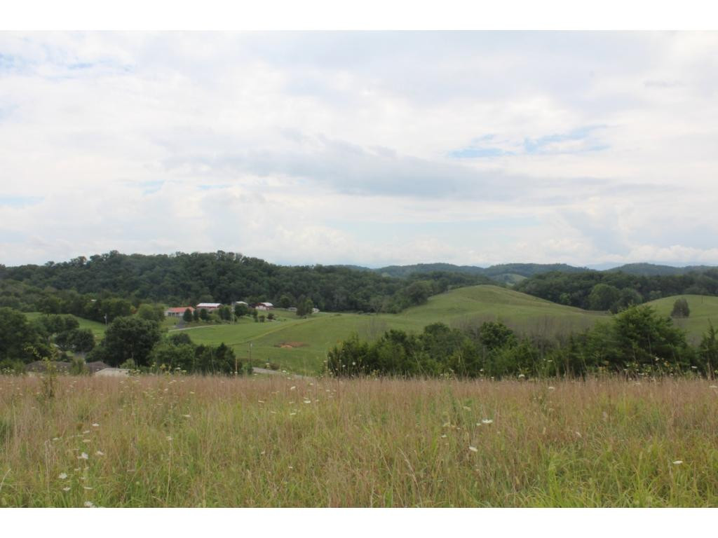 940 Little Chuckey Road Midway, TN 37809 - Photo 8 of 19 Photo 8