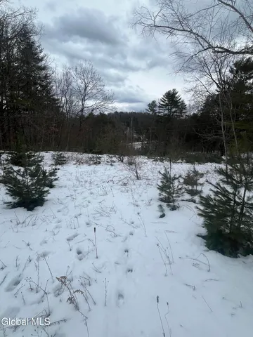 $160,000 | 20 Hampton Heights Way, Hampton, NY 12887