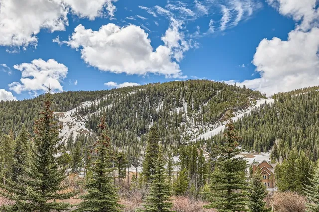a view of a flower in a yard