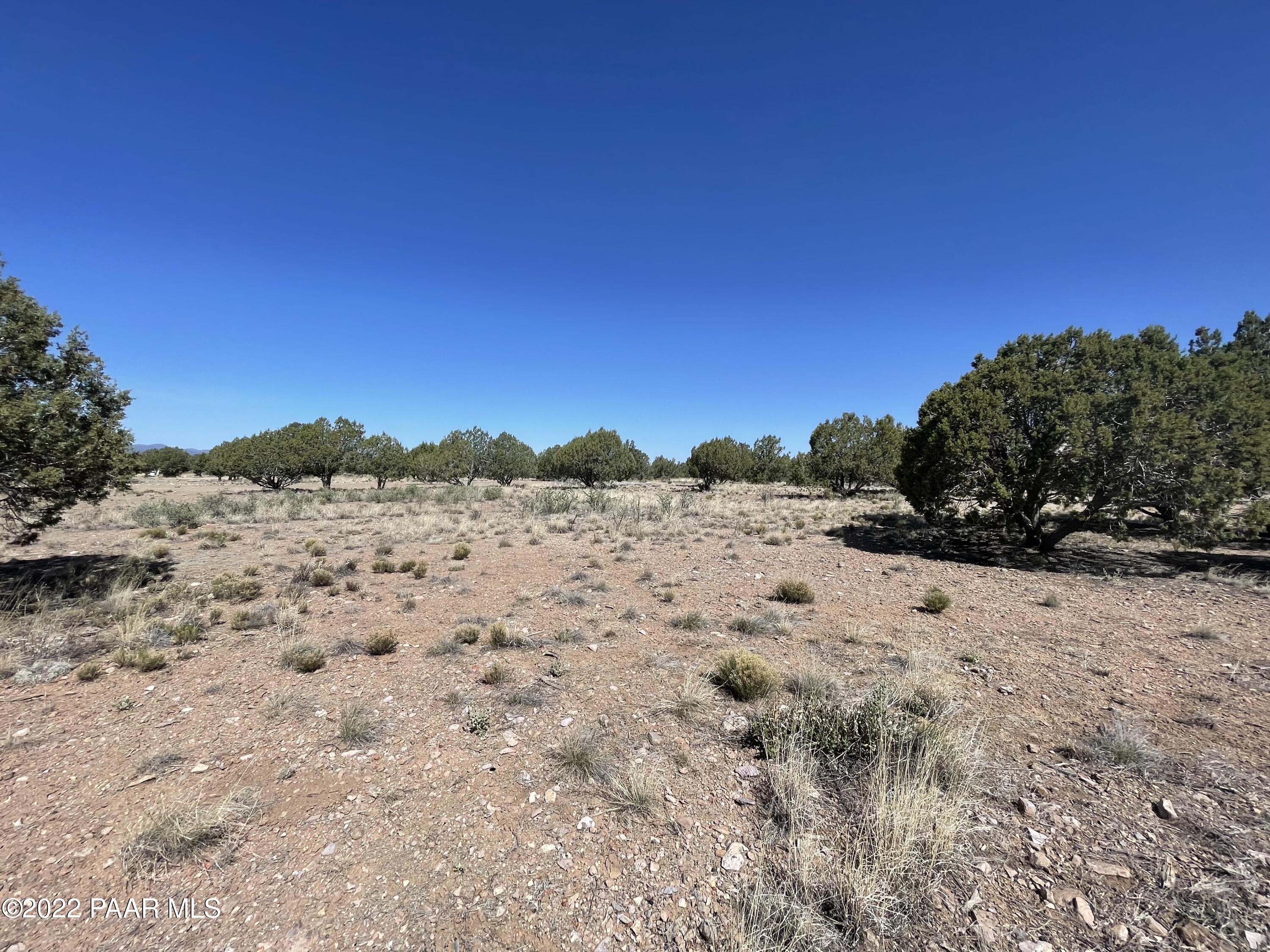 18100 Crossroads Ranch Road Prescott, AZ 86305 - Photo 36 of 40 a view of a dry yard with trees in the background