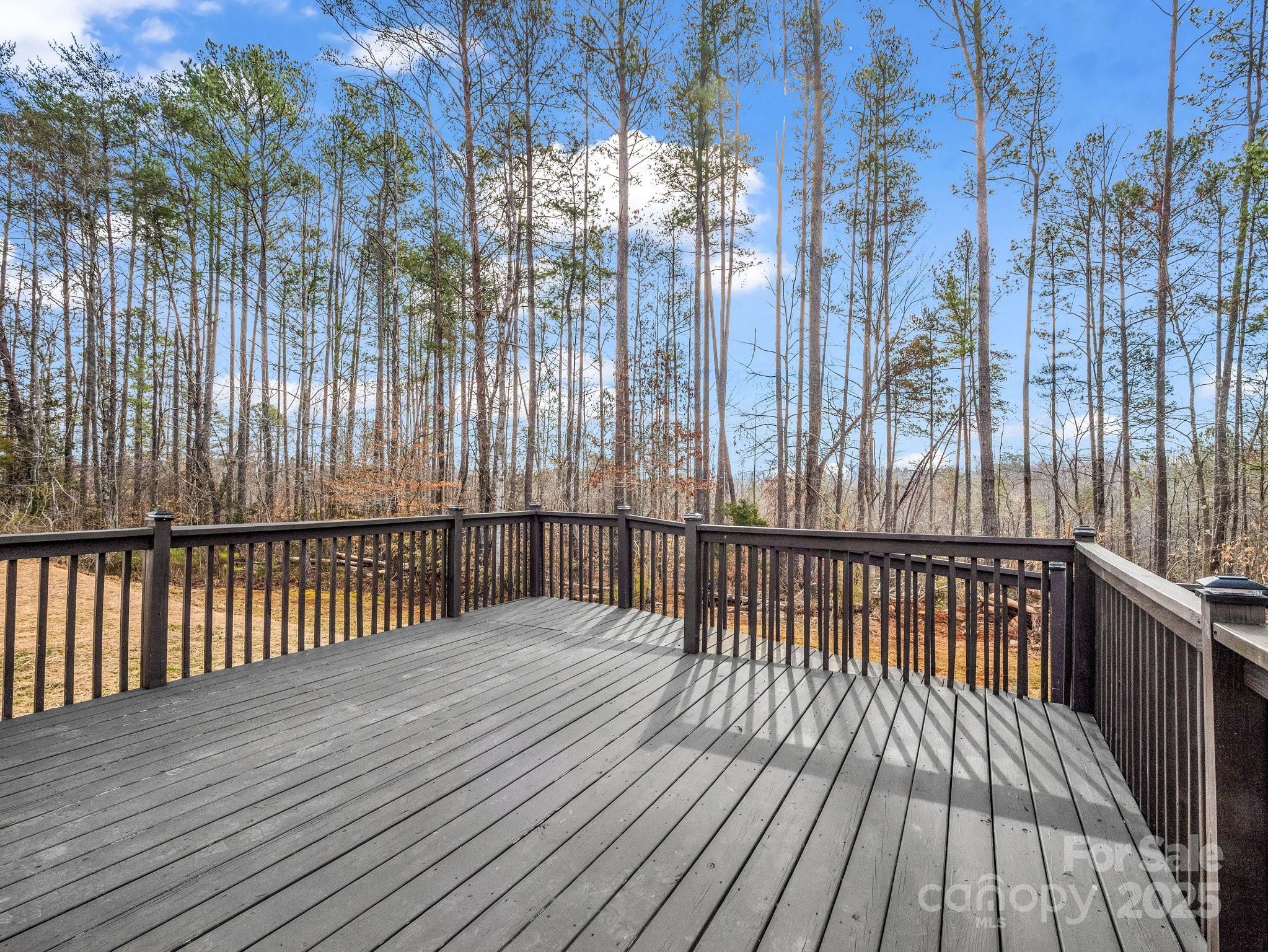406 Rock Corner Road Forest City, NC 28043 - Photo 9 of 40 Gallery Image 9