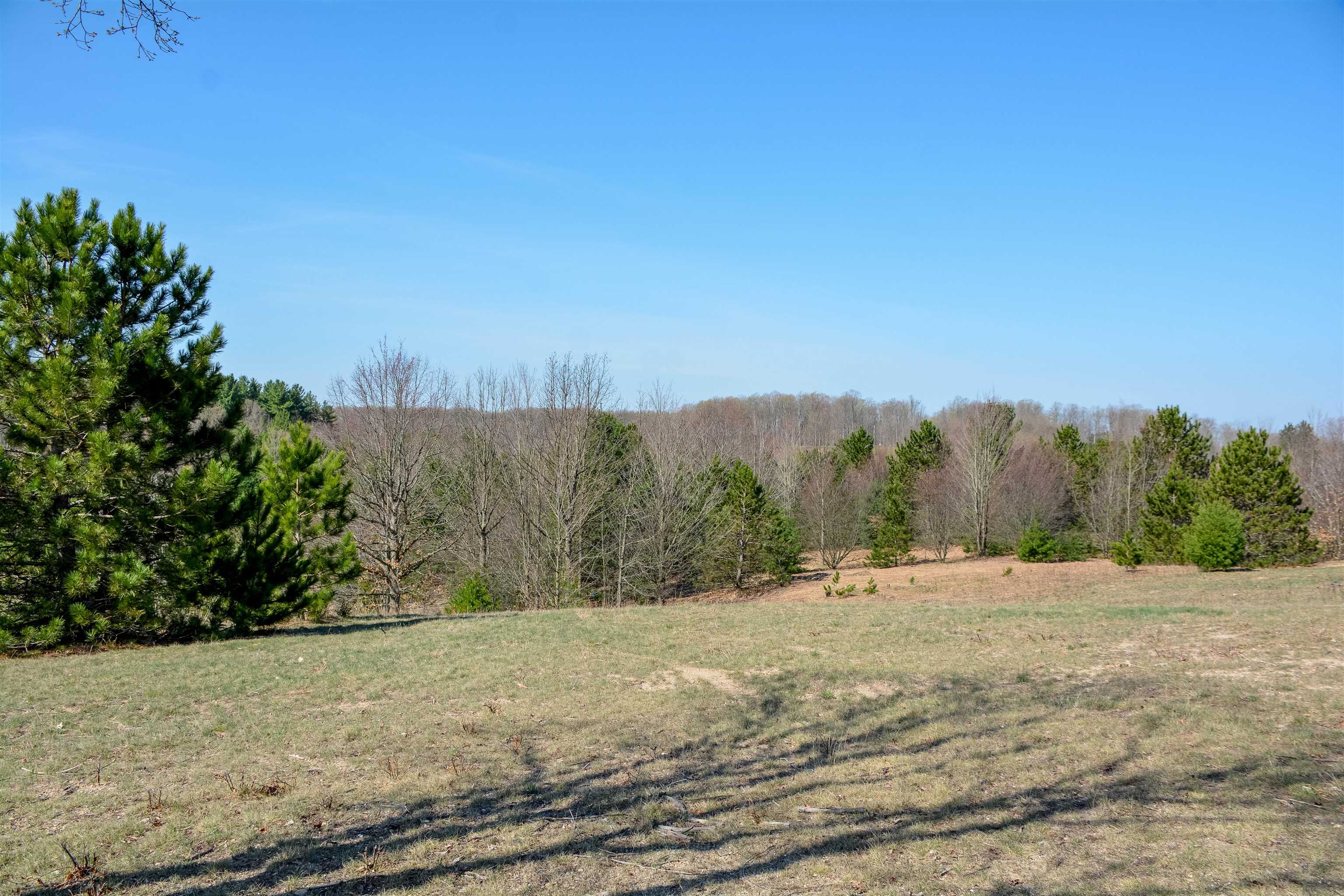 5986 Paradise Ranch Road, Unit LOT: 43 Kingsley, MI 49649 - Photo 21 of 32