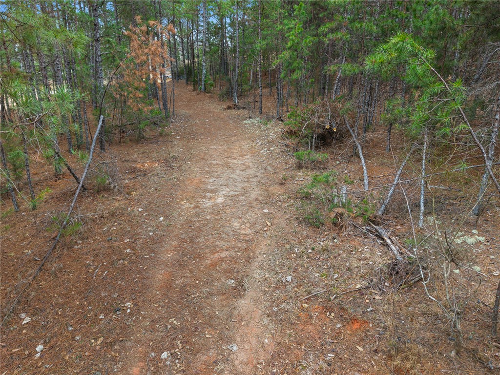 351 Mcfalls Circle Anderson, SC 29621 - Photo 17 of 17