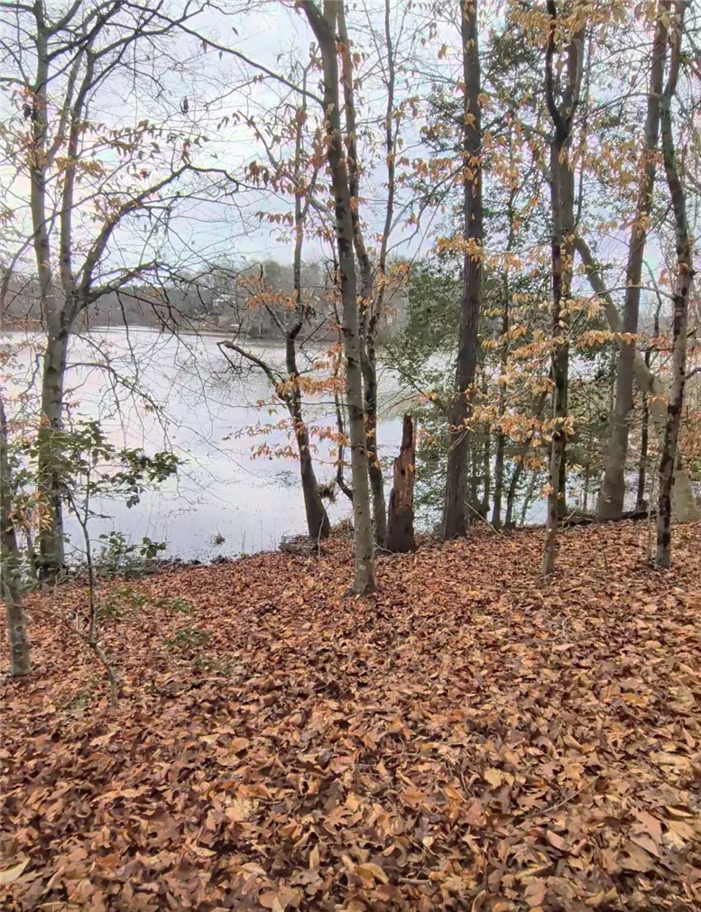 351 Mcfalls Circle Anderson, SC 29621 - Photo 3 of 17