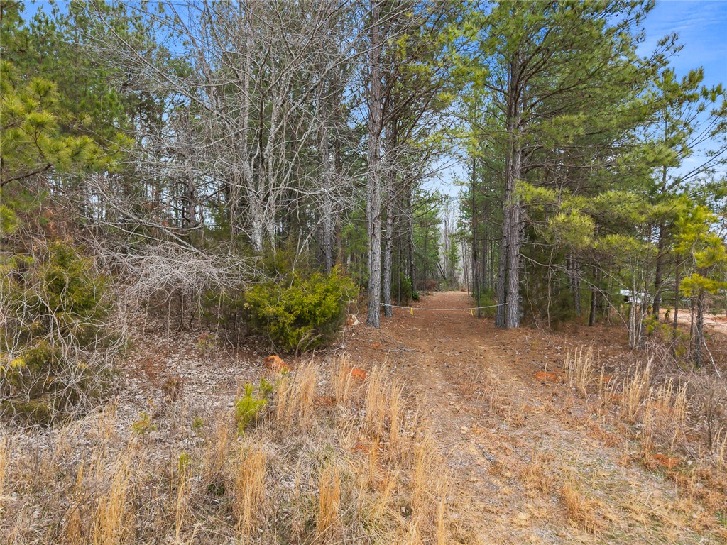 351 Mcfalls Circle Anderson, SC 29621 - Photo 4 of 17