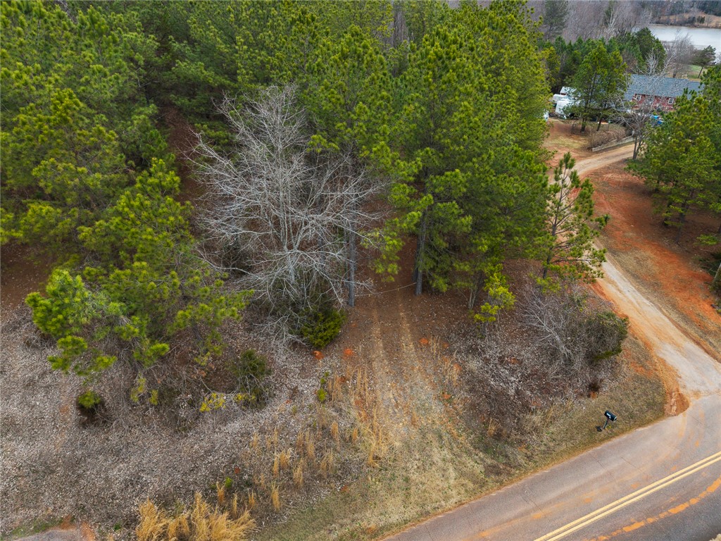351 Mcfalls Circle Anderson, SC 29621 - Photo 5 of 17