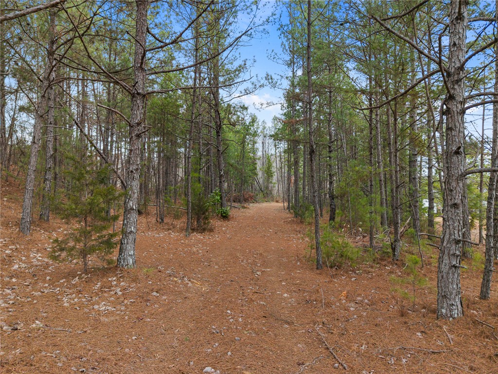 351 Mcfalls Circle Anderson, SC 29621 - Photo 6 of 17
