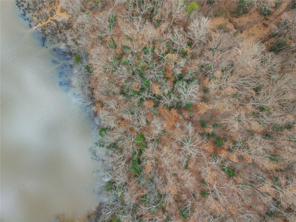 351 Mcfalls Circle Anderson, SC 29621 - Photo 7 of 17