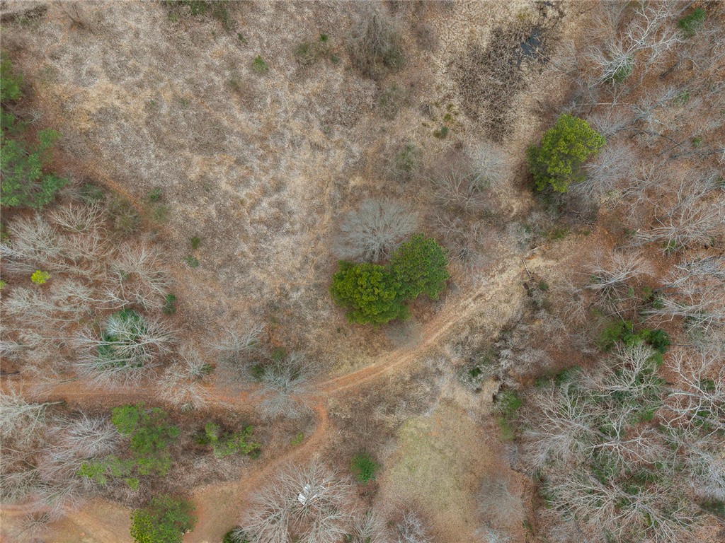 351 Mcfalls Circle Anderson, SC 29621 - Photo 9 of 17