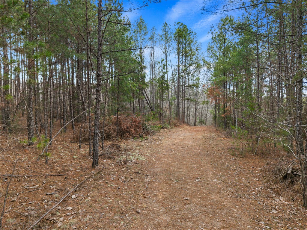 351 Mcfalls Circle Anderson, SC 29621 - Photo 10 of 17