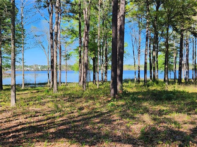 0 Hicks Road Natchitoches, LA 71457 - Photo 2 of 14