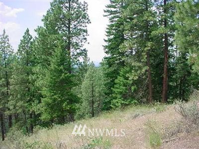 -22xx Lambert Road Cle Elum, WA 98922 - Photo 2 of 12 Gallery Image 2