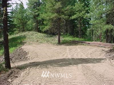 -22xx Lambert Road Cle Elum, WA 98922 - Photo 3 of 12 Gallery Image 3