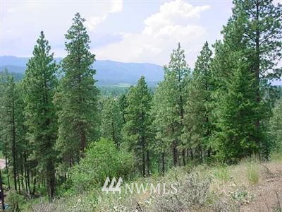 -22xx Lambert Road Cle Elum, WA 98922 - Photo 5 of 12 Gallery Image 5