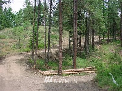 -22xx Lambert Road Cle Elum, WA 98922 - Photo 6 of 12 Gallery Image 6