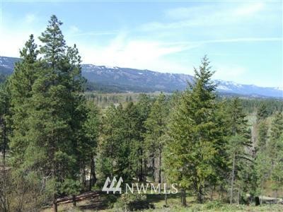 -22xx Lambert Road Cle Elum, WA 98922 - Photo 9 of 12 Gallery Image 9