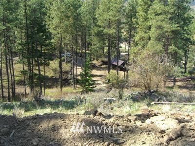 -22xx Lambert Road Cle Elum, WA 98922 - Photo 10 of 12 Gallery Image 10